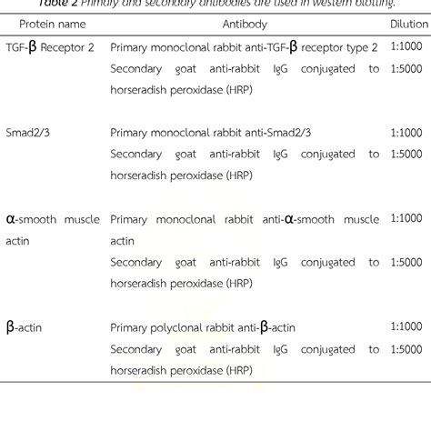 Table From Role Of Kca Channel On Renal Fibrosis In Doxorubicin