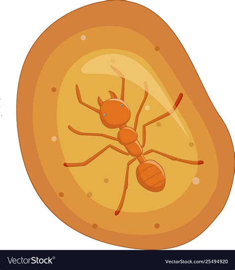 Ant in yellow amber fossil Royalty Free Vector Image