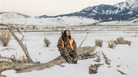 Mass Yellowstone Hunt Kills Bison The New York Times