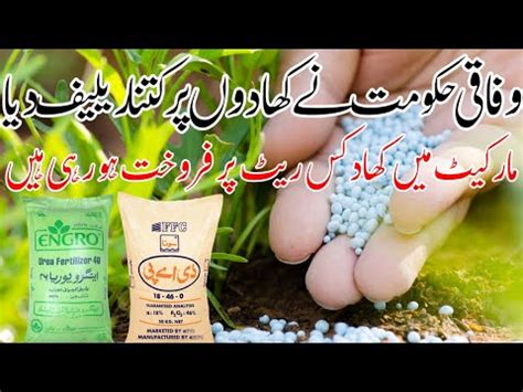 Today Fertilizers Latest Price 2023 YouTube