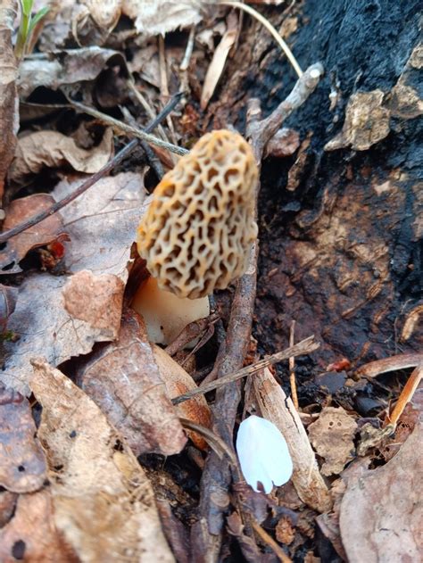 Ugly As Fuck Flower I Crushed All Of Them Pjackk On Tumblr