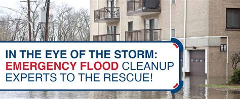 In the Eye of the Storm: Emergency Flood Cleanup Experts to the Rescue!