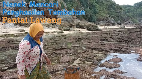 Nenek Mencari Penghasilan Tambahan Di Pantai Watu Lawang Keseharian