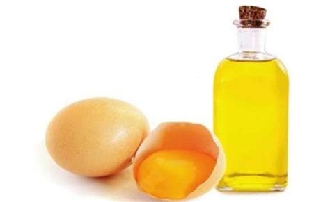 Egg Oil Alchetron The Free Social Encyclopedia