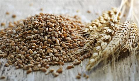 Whole Grain Wheat Kernels Closeup — Stock Photo © Elenathewise 4468332