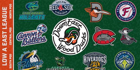 MLB Announces Minor League Baseball Teams | Wood Ducks