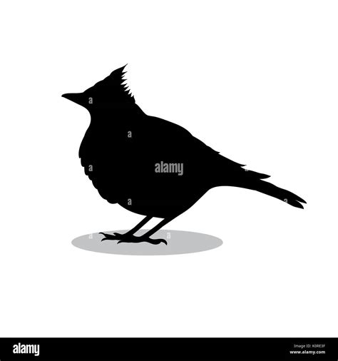 Lark bird Stock Vector Images - Alamy