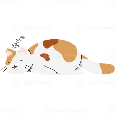 Cute Cat Illustration 20049759 Png