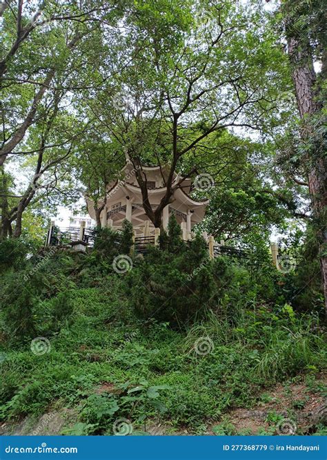 Pagoda Roof Style Building in the Garden Stock Image - Image of landmark, beautiful: 277368779