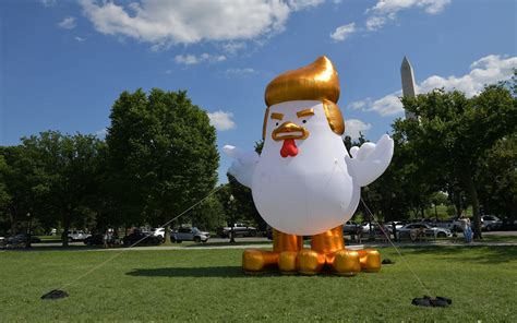 Galinha Infl Vel Topete De Donald Trump Aparece Perto Da Casa Branca