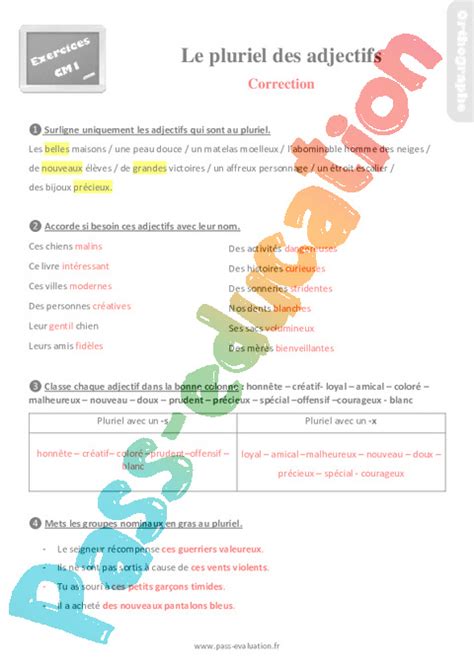 Evaluation Et Bilan Pour Le Cm Le Pluriel Des Adjectifs Pdf Imprimer