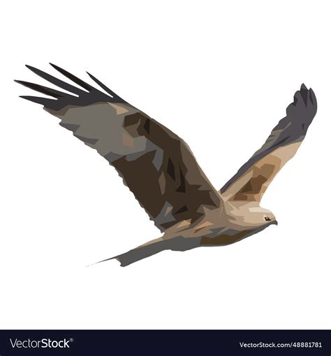 Hawk Royalty Free Vector Image - VectorStock