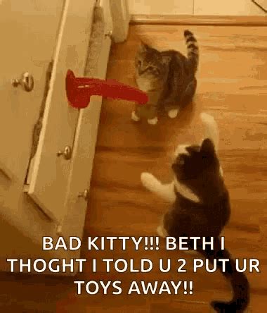 Dildo Meme GIFs Tenor