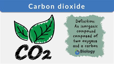Carbon dioxide - Definition and Examples - Biology Online Dictionary 