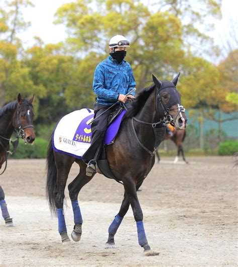 【天皇賞・春】タイトルホルダー 菊花賞馬が勝つ！過去10年6勝＆3連勝中のデータ追い風 Umatoku 馬トク