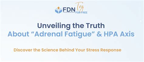 Adrenal Fatigue Functional Diagnostic Nutrition