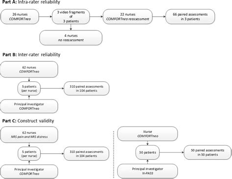 Study design Overview of the study design part A, B and C. | Download Scientific Diagram