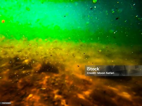 Blurred Underwater Shot Of Muddy Water Out Of Focus Underwater Image Of