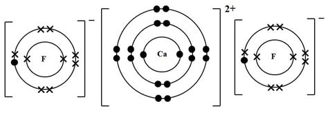 Lewis Dot Diagram For Magnesium Fluoride - Wiring Diagram Pictures