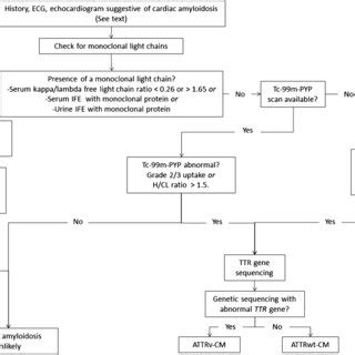 Diagnostic Algorithm For Cardiac Amyloidosis While Practically