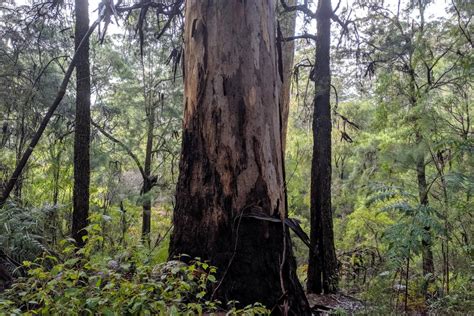 Warren National Park