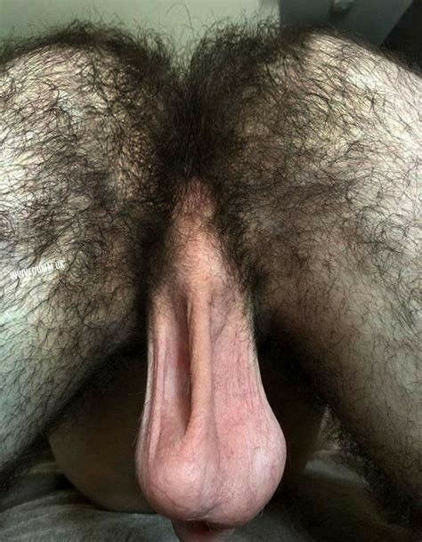 Hairy Man Ass And Smooth Balls Tubbys1st