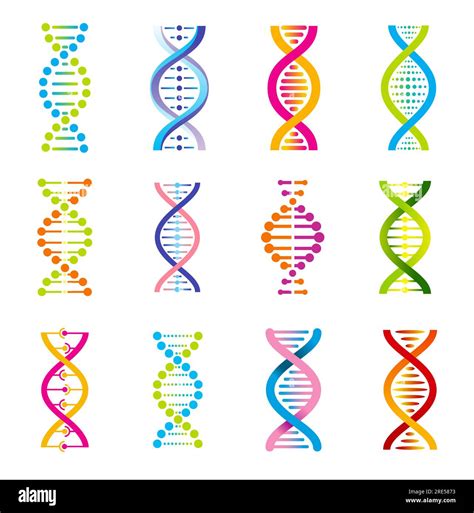 DNA Helix Icons Of Genetics Medicine Vector Design Colorful Genetic