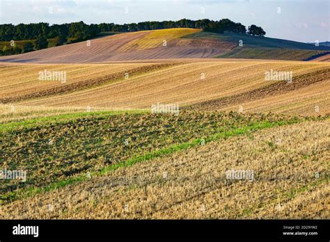 A Farming Landscape Of Gently Rolling Hills That Are Typical Of The