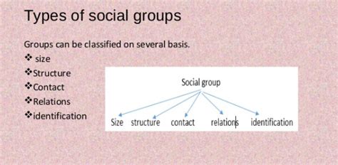 Types Of Social Groups Quiz! Trivia - ProProfs Quiz