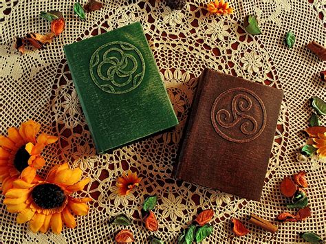 Secret Circle Book Of Shadows Diana Meade Cassie Blake