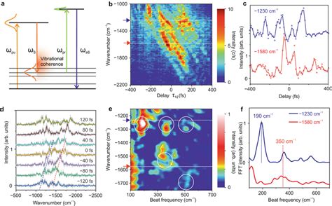 Tracking Ultrafast Coherent Phonon Oscillations In A Single Gnr A