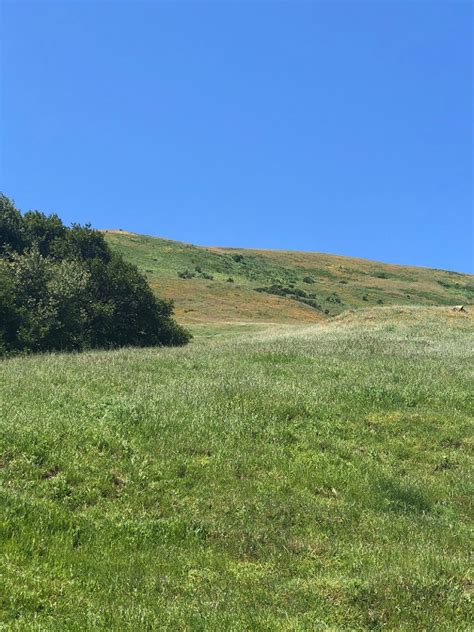 Rocky Ridge View And Elderberry Loop Trail Fairyburger