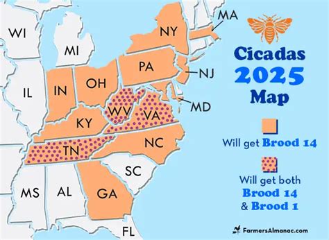 Periodical Cicadas 2024 United Map Emergence Years Cicada Broods