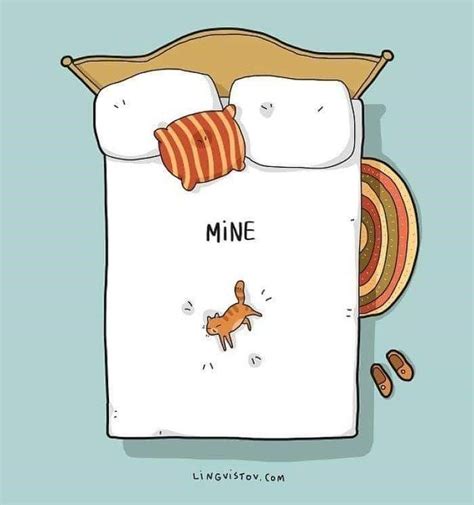 Relatable Cat Comics For Feline Owners Appreciators Katzen Katzen