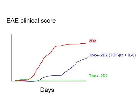 Protective and Pathogenic Th17 cells « Karine SERRE, PhD