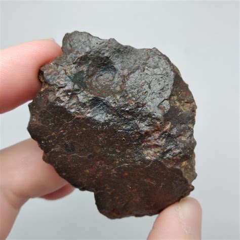 Nwa 869 L 3 6 Météorite De Chondrite 968 G Catawiki