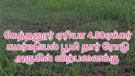(247) பல்லடம் to உடுமலை மெயின் ரோடு கேத்தனூர் அருகில் 4.50ஏக்கர் பூமி ...