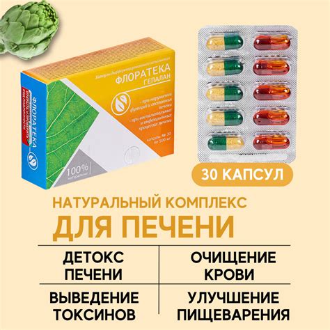 Комплекс для печени Флоратека Гепалан натуральный гепатопротектор ...