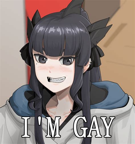 I M Gay Meme Danbooru
