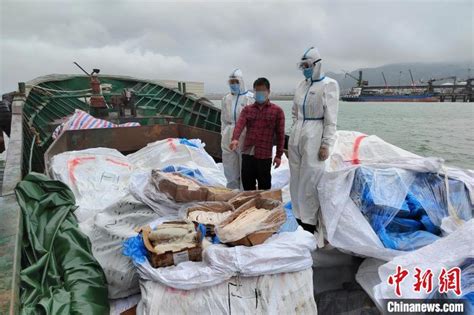 福州海警局连续查获5起涉嫌走私冻品案 查获走私冻品约380吨