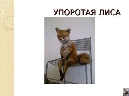 Упоротая лиса на стуле - 82 фото