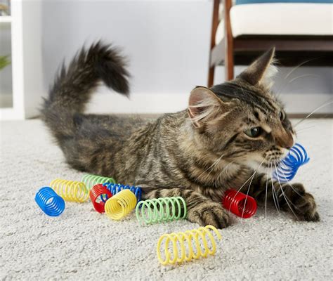 The 21 Best Cat Toys To Keep Kitties Feeling Frisky