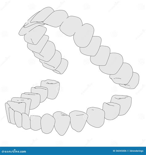 Image of human teeth stock illustration. Illustration of handdraw ...