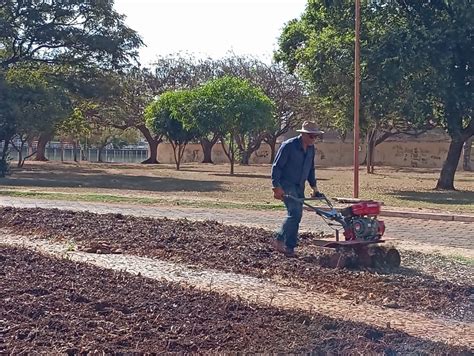 Jornal O Guaíra Prefeitura está recuperando os jardins da Calçada de