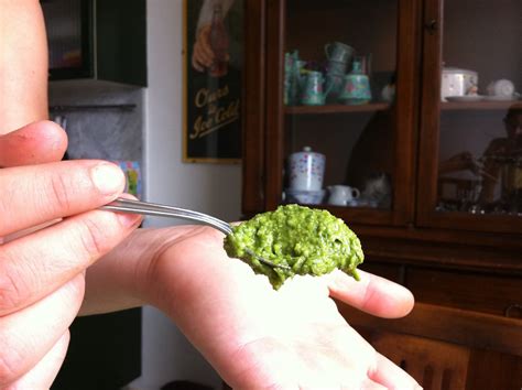 Pesto Alla Genovese Ecco La Ricetta L Orto Di Bea Gaia