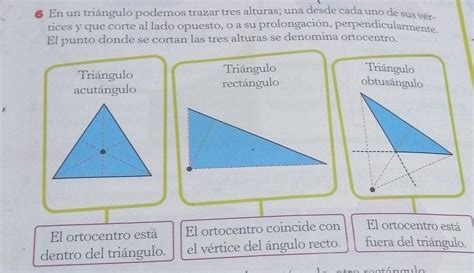 6 En un triángulo podemos trazar tres alturas tices y que corte al