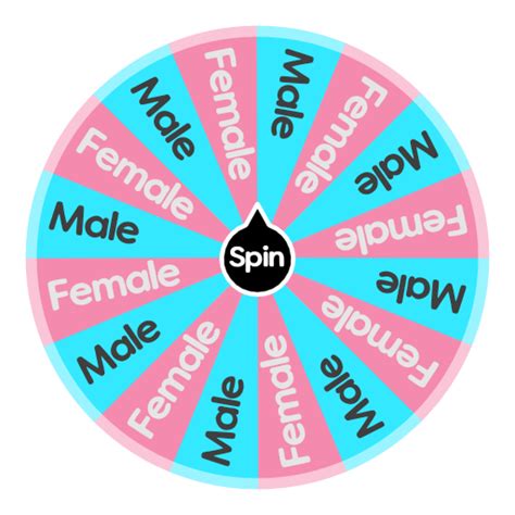 Gender Randomizer Spin The Wheel Random Picker