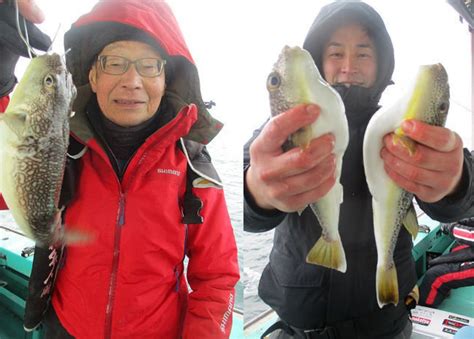 【釣果速報】兵庫県釣り船名田屋でショウサイフグの調子上向き！最大40cmとサイズも良好！今後の釣行も期待大！｜釣りまとめアンテナ