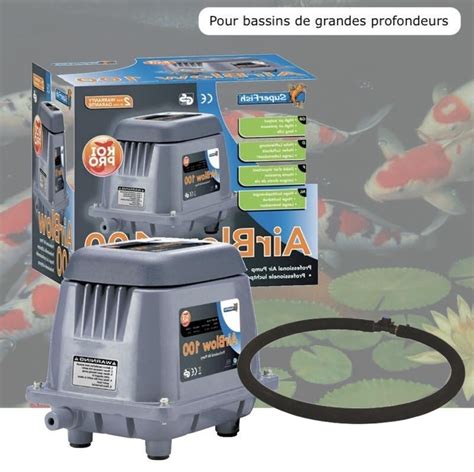 Kit Pompe A Air Bassin Profond L H Diffuseur Cm A Rateur