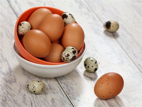 Chicken And Quail Eggs Stock Photo Image Of Organic